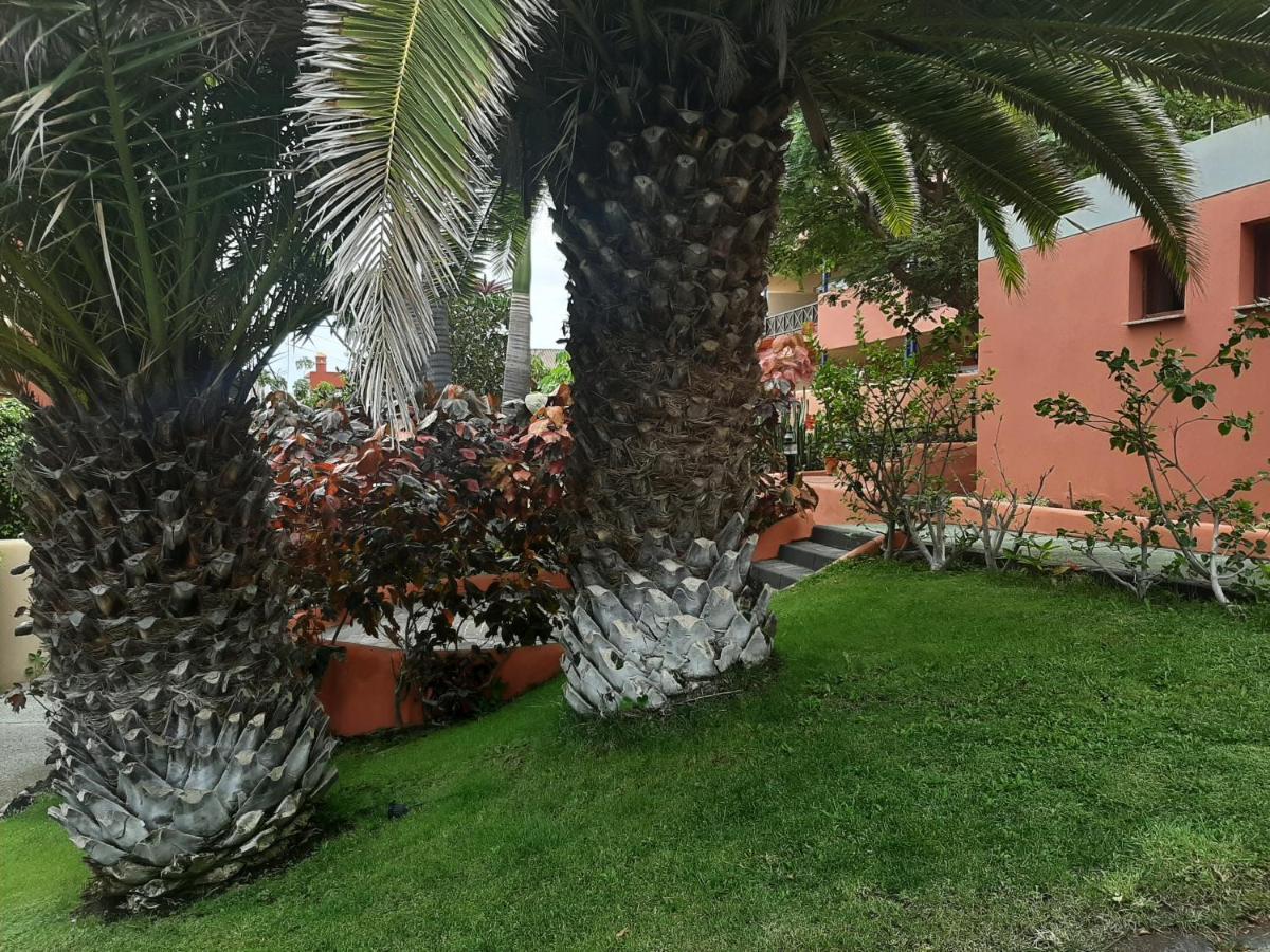 Aparthotel El Cerrito Playa Cancajos.- BreNa Baja  Exterior foto